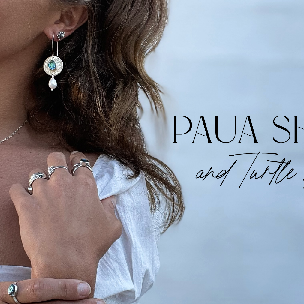 Paua Shells and Turtles