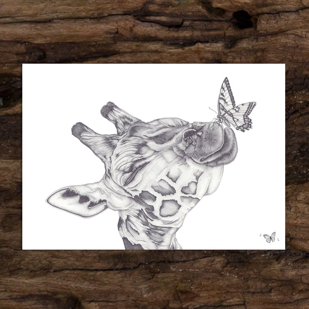 Laura Luke - Fly Gift Cards