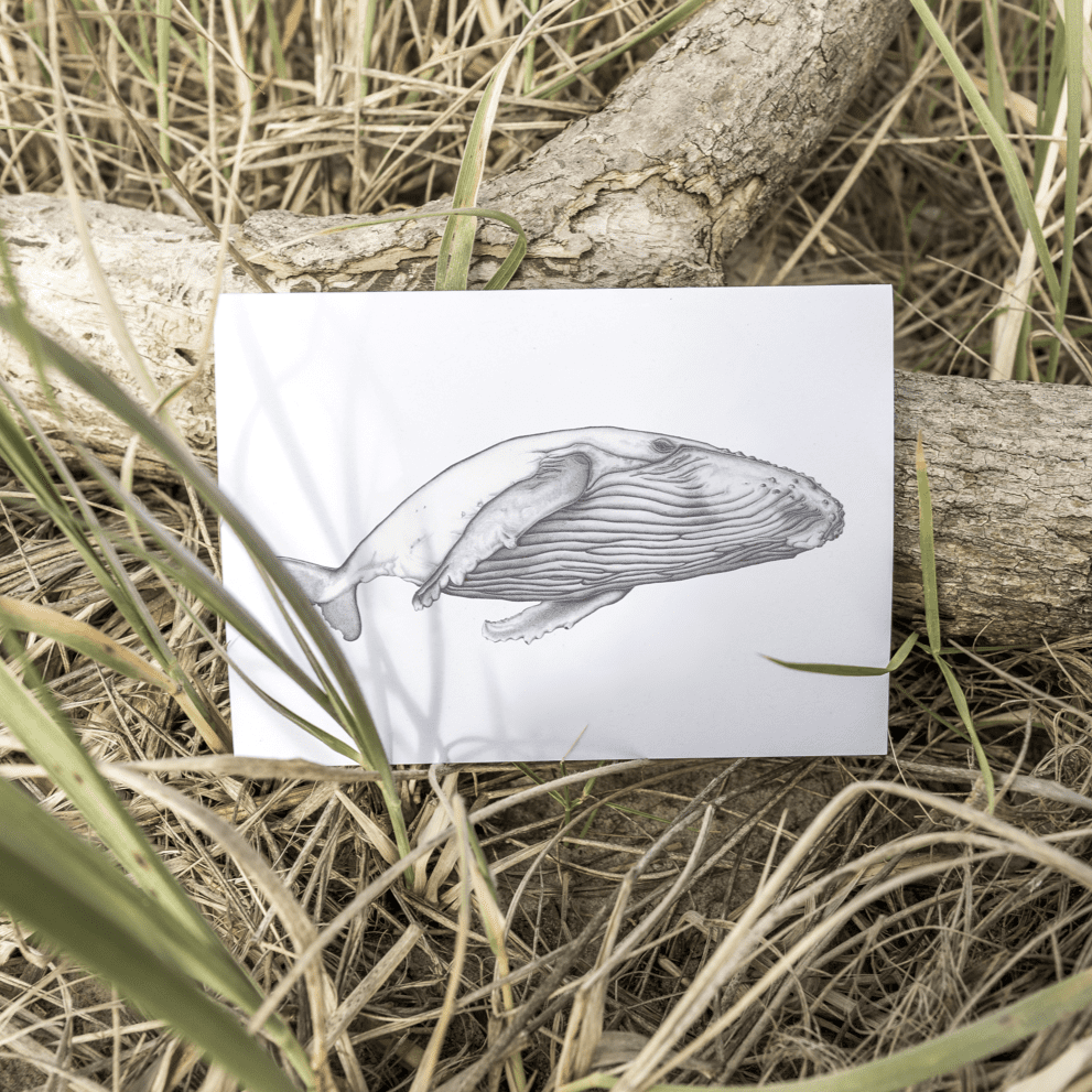 Laura Luke - Glide Gift Cards