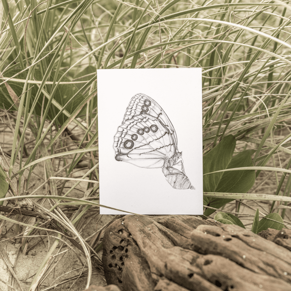 Laura Luke - Grace in Time Gift Cards