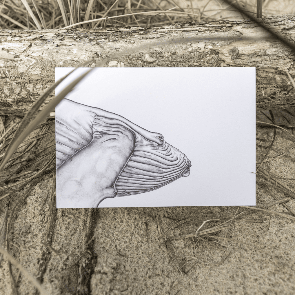 Laura Luke - I See You Gift Cards