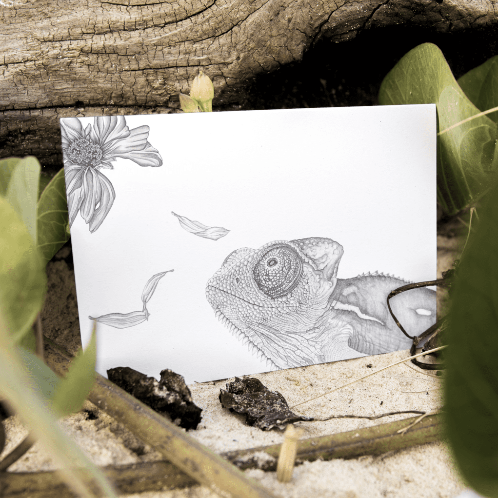 Laura Luke - in the Details Gift Cards