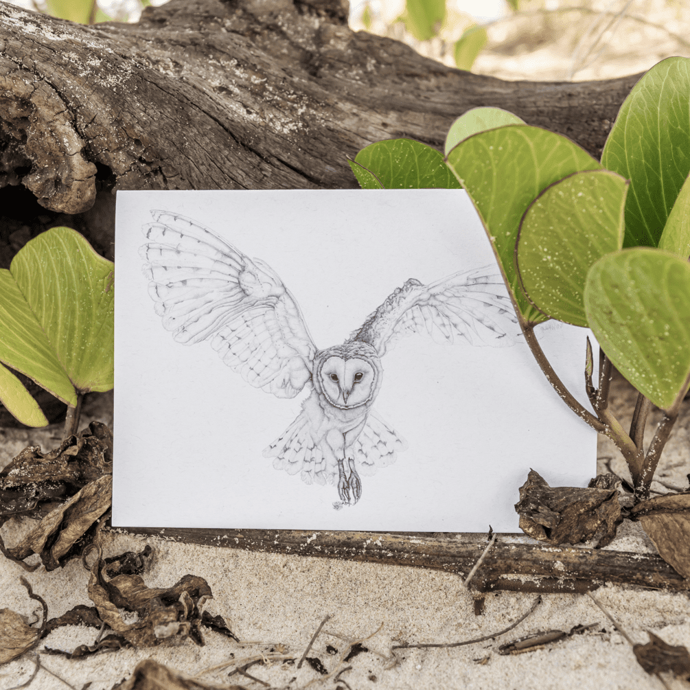 Laura Luke - the Wizzard Gift Cards