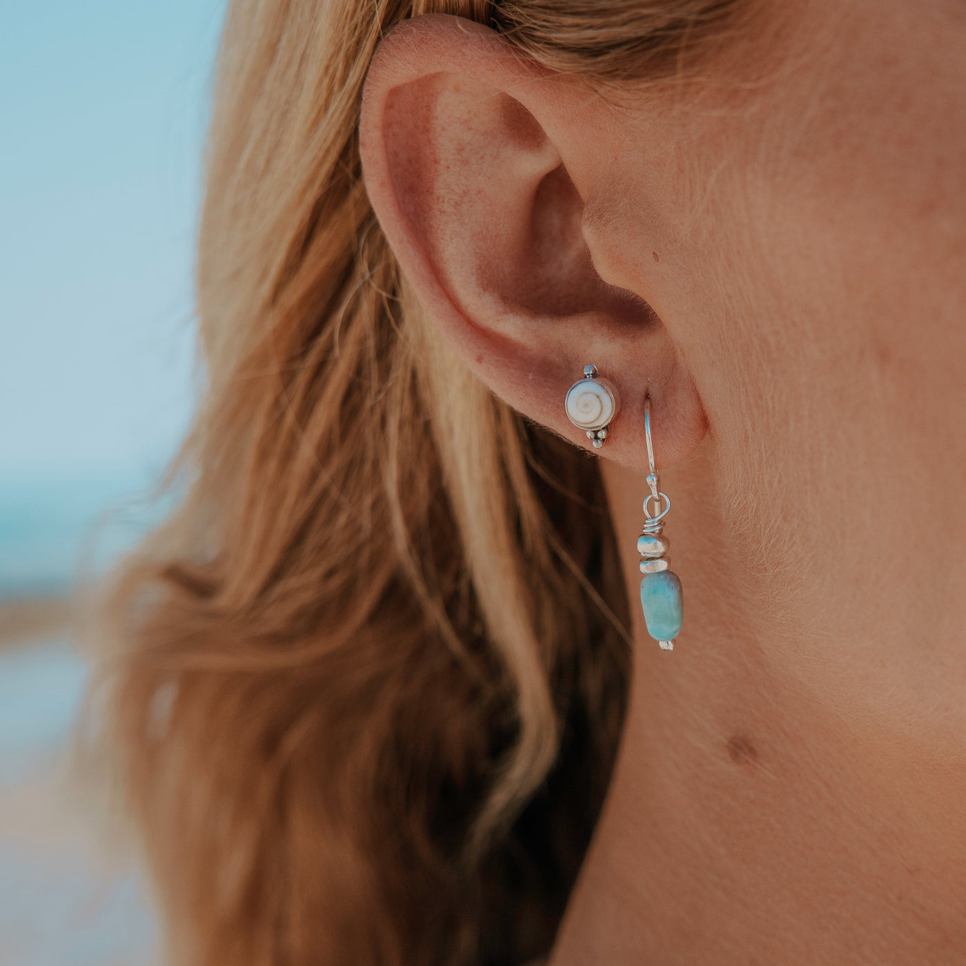 Periwinkle Sea Studs