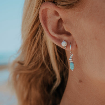 Periwinkle Sea Studs