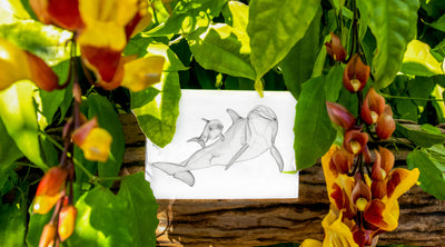 Laura Luke - Hand Drawn Greeting Cards