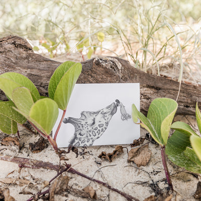Laura Luke - Hand Drawn Greeting Cards