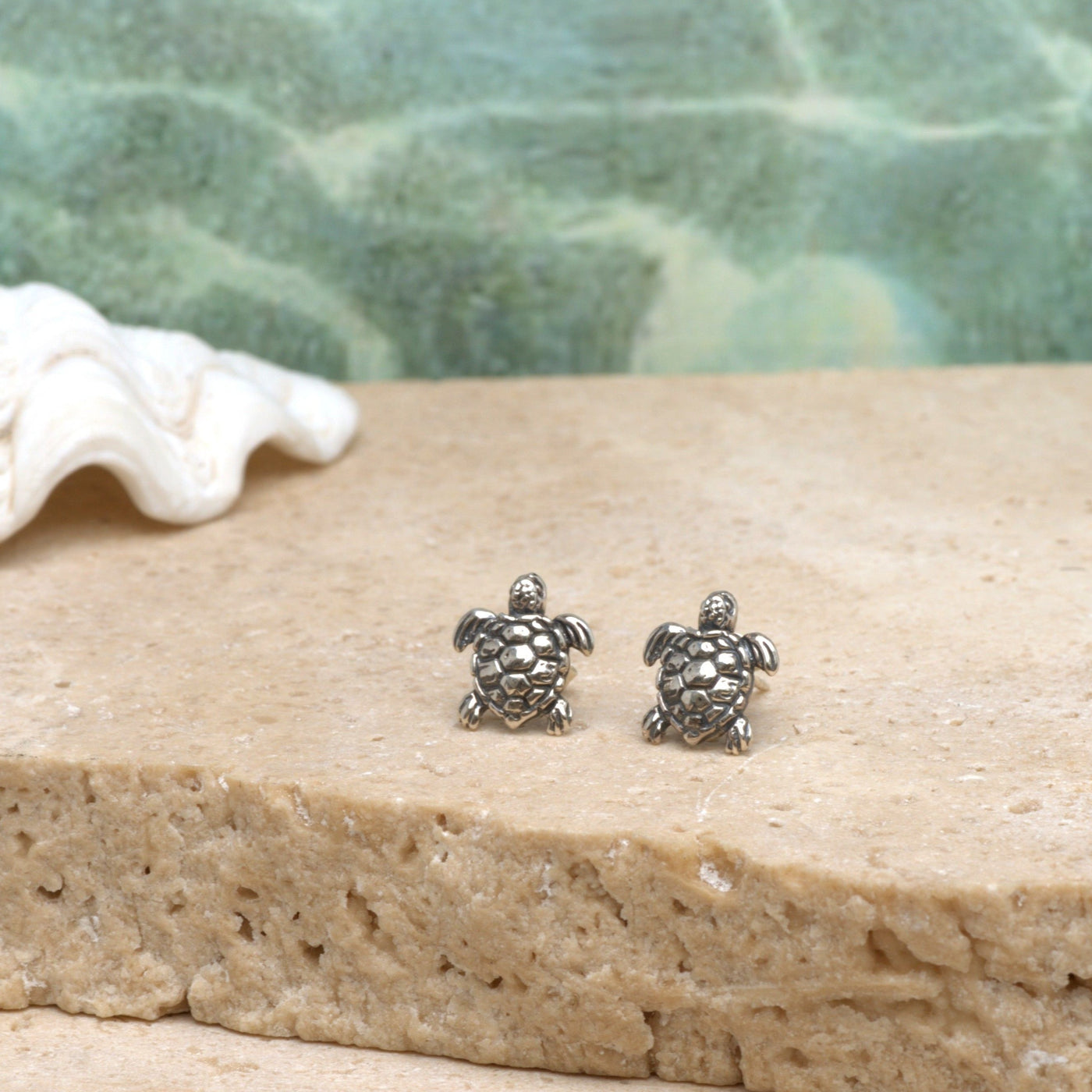 Ocean Turtle Studs