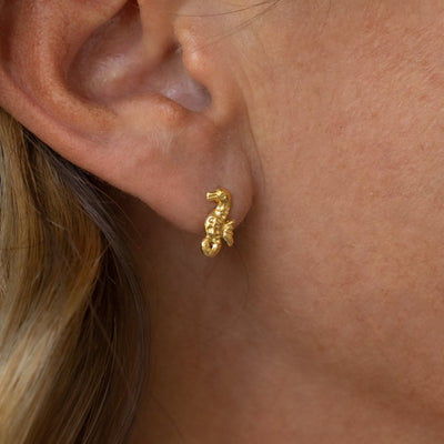 Gold Seahorse Mini Studs