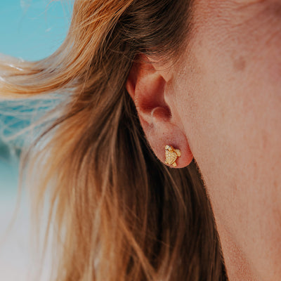 Golden Sea Turtle Studs