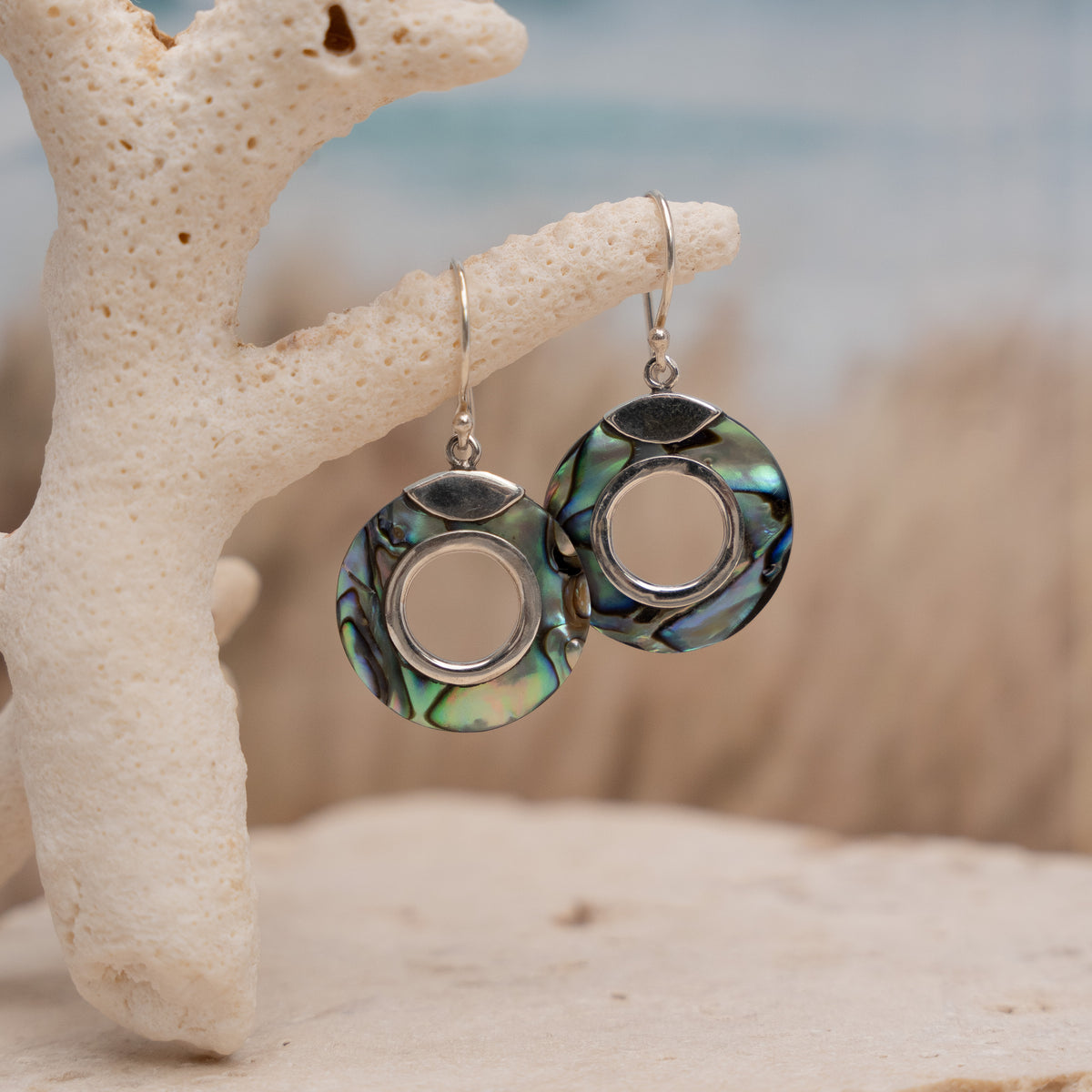 Coastal Paua Shell discs – Embella Jewellery