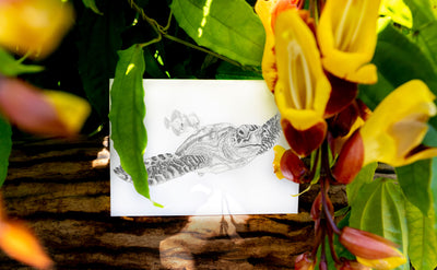 Laura Luke - Hand Drawn Greeting Cards