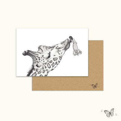 Laura Luke - Hand Drawn Greeting Cards