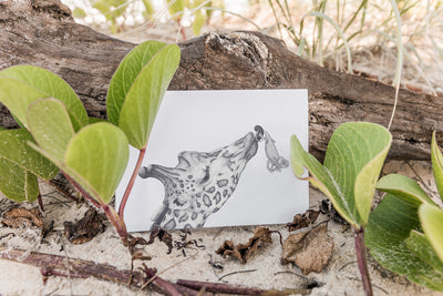 Laura Luke - Hand Drawn Greeting Cards