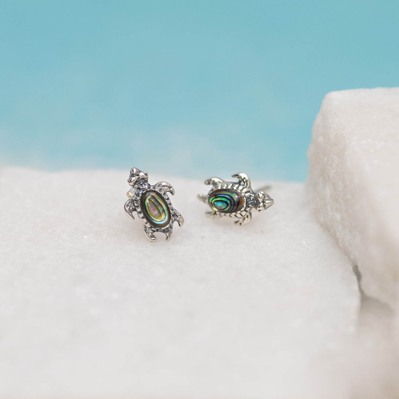 Island Turtle Studs