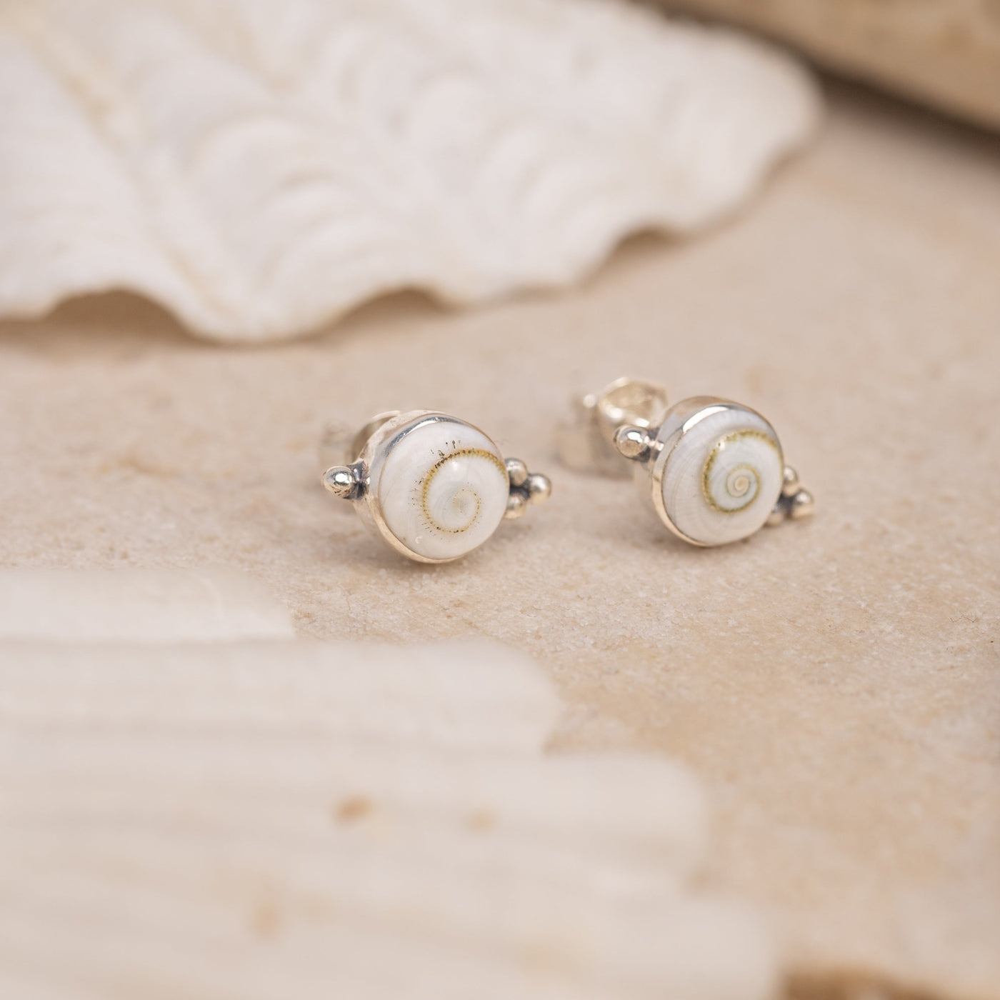 Periwinkle Sea Studs