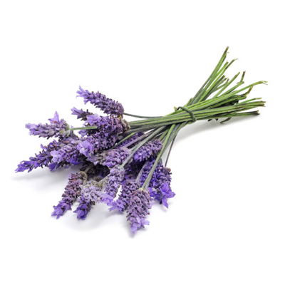 doTERRA Lavender Peace (Restful Blend) - 15ml